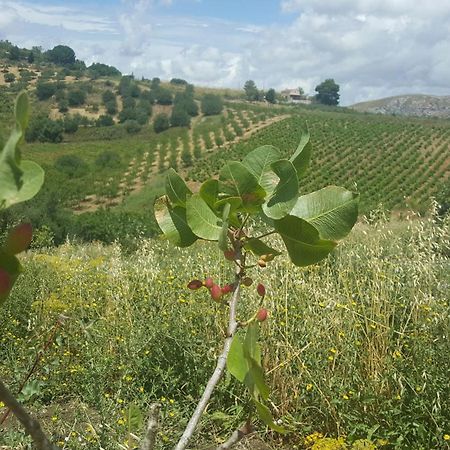 Agriturismo Gessi Калатафими Екстериор снимка